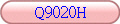 Q9020H